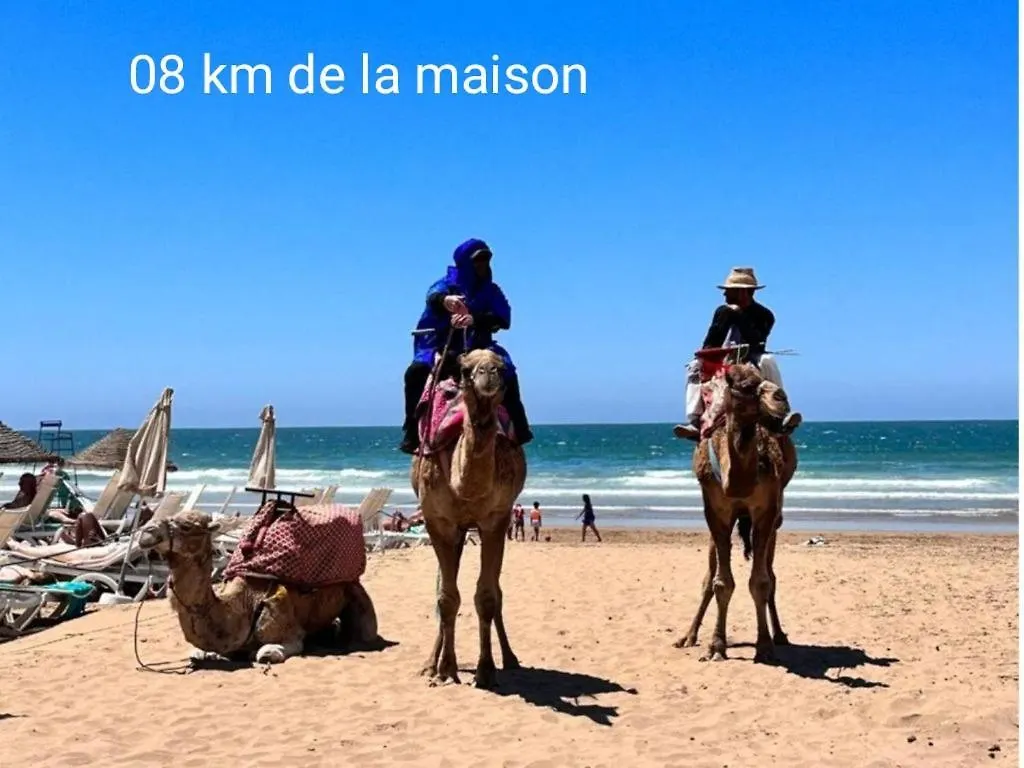 Un Appartement De Luxe, De Litterature Sur Agadir 0*,  Fas